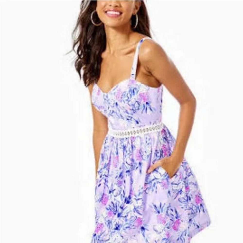 Lilly Pulitzer Devyn Fit and Flare Dress Trunks In The Air Dress